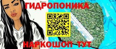 эйфоретик Новозыбков